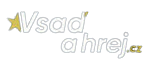 Vsad A Hrej casino logo